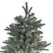 Northlight 10 foot Pre-lit Clear Lights Artificial Slim Washington Fraser Fir Christmas Tree, alternative image