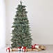 Northlight 10 foot Pre-lit Clear Lights Artificial Slim Washington Fraser Fir Christmas Tree, alternative image