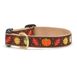 Up Country Narrow Width Harvest Time Fall Print Dog Collar, alternative image