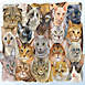 Parragon Cats and Dogs 500 Piece Double Sided Jigsaw Puzzle, alternative image