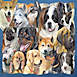 Parragon Cats and Dogs 500 Piece Double Sided Jigsaw Puzzle, Back