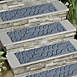 Bungalow Flooring 8.5" x 30" Brittany Leaf Waterblock Stair Treads - Set of 4, alternative image
