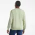 Men's Fine Gauge Cotton Crew Neck Sweater, Back