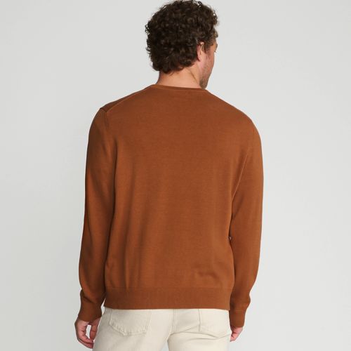 Men's Fine Gauge Cotton V Neck Sweater, Back