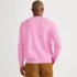 Men's Fine Gauge Cotton V Neck Sweater, Back