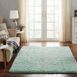 Chesapeake Microfiber Plush Shag Area Rug, alternative image