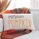 Safavieh Mornin Pumpkin Fall Decorative Throw Pillow, alternative image