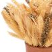 Safavieh 14'' Artificial Wheat Ear Fall Potted Arrangement, alternative image