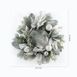 Safavieh 26'' Frosted Pine Artificial Wreath, alternative image