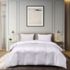 Blue Ridge Home Fashions 1000 Thread Count White Goose Down Supima Cotton Comforter, Front