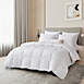 Beautyrest All Season Cotton Blend Down Fiber Comforter, alternative image