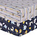 Sammy and Lou Zambia Stripes 2 Pack Microfiber Fitted Crib Sheet Set, Front