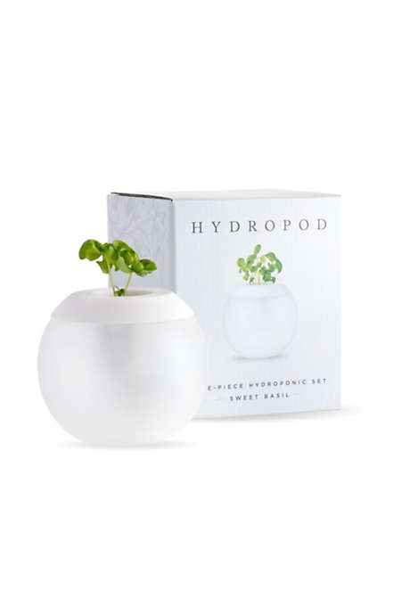 W&P Custom Logo Hydropod Herb Growing Kit