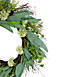 Northlight 23" Olive Leaf and Floral Twig Spring Wreath, alternative image
