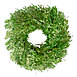 Northlight 15" Green Foliage Artificial Spring Wreath, alternative image