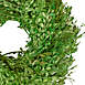 Northlight 15" Green Foliage Artificial Spring Wreath, alternative image