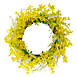 Northlight 22" Jasmine and Leaves Artificial Spring Wreath, alternative image