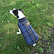 Carolina Pet Company Pendleton Plaid Dog Coat, alternative image