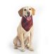 Carolina Pet Company Pendleton Pet Plaid Dog Bandana Gift Set of 3, alternative image