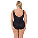Miraclesuit Plus Size Women's Must Have Pin Point Oceanus V-neck Slimming One Piece Swimsuit, Back