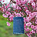 Allsop Home and Garden Outdoor Solar Soji Stella Cylinder Lantern, alternative image