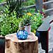 Allsop Home and Garden Solar Glass Tea Lantern Light, alternative image