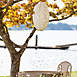 Allsop Home and Garden Indoor or Outdoor Soji Stella Nova 22" Geo Palm Pod Pendant Lamp, alternative image