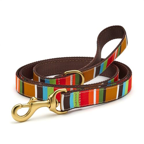 Unique 2025 dog leashes