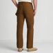 Men's Stretch Utility Carpenter Pants, Back