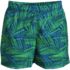 Boys Short Length Swim Trunk, Front