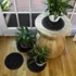 Matterly Waterblock 12" Round Flower of Life Plant Trivet - Set of 4, alternative image