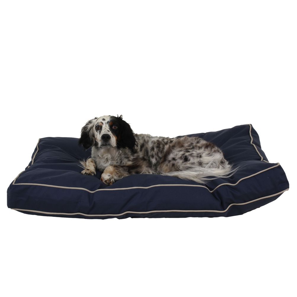 Large canvas outlet dog bed