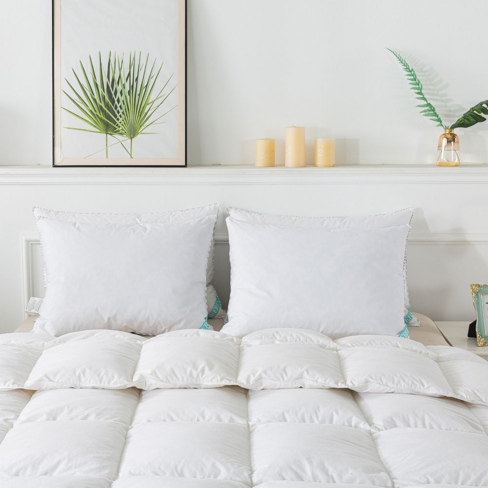 Oxford square duck feather pillows deals