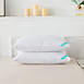 Waverly Antimicrobial 233 Thread Count Cotton Goose Nano Feather Bed Pillow - 2 Pack, alternative image
