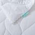 Waverly Antimicrobial Cotton Down Alternative Bed Blanket, alternative image