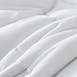 Waverly Antimicrobial Cotton Down Alternative Comforter, alternative image