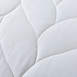 Waverly Antimicrobial Cotton White Duck Down and Feather Bed Blanket, alternative image