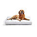 Rectangular Dog Bed Insert, alternative image