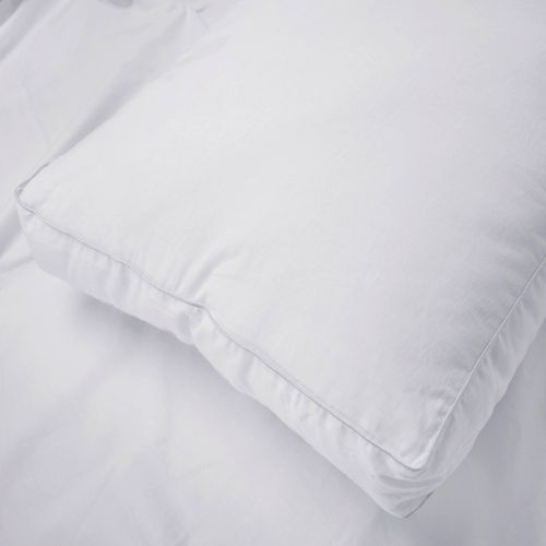 546637_LEPP_V1_WHI