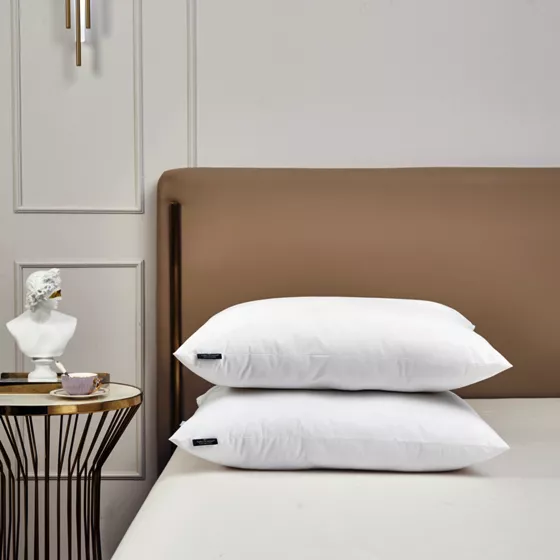Farm to Home Organic Cotton 2 Pack Down Alternative Pillow - primary