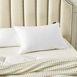 Farm to Home Organic Cotton 2 Pack Softy Around Feather and Down Pillow, alternative image