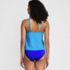 Women's Scoop Neck One Piece Fauxkini Swimsuit, Back