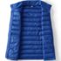 Men's Wanderweight Packable Down Vest, alternative image