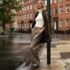 Women's Petite Brushed Flannel High Rise Pleated Wide Leg Pants, alternative image