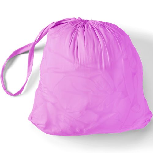 Aster Pink