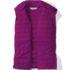 Women's Wanderweight Packable Down Vest, alternative image