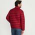 Men's Wanderweight Colorblock Down Jacket, Back