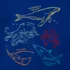 Boys Short Sleeve Graphic Tee, alternative image