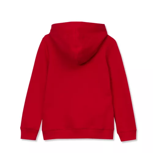 Kids Fleece Hooded Sweatshirt, alternative image