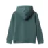 Kids Fleece Hooded Sweatshirt, alternative image